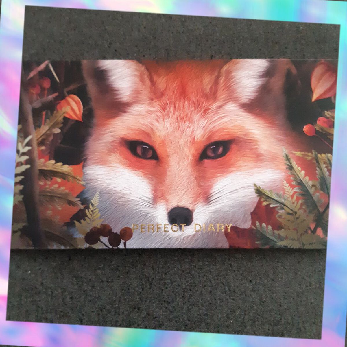 エクスプローラ12色 動物アイシャドウパレット/PERFECT DIARY/アイシャドウパレットを使ったクチコミ（1枚目）