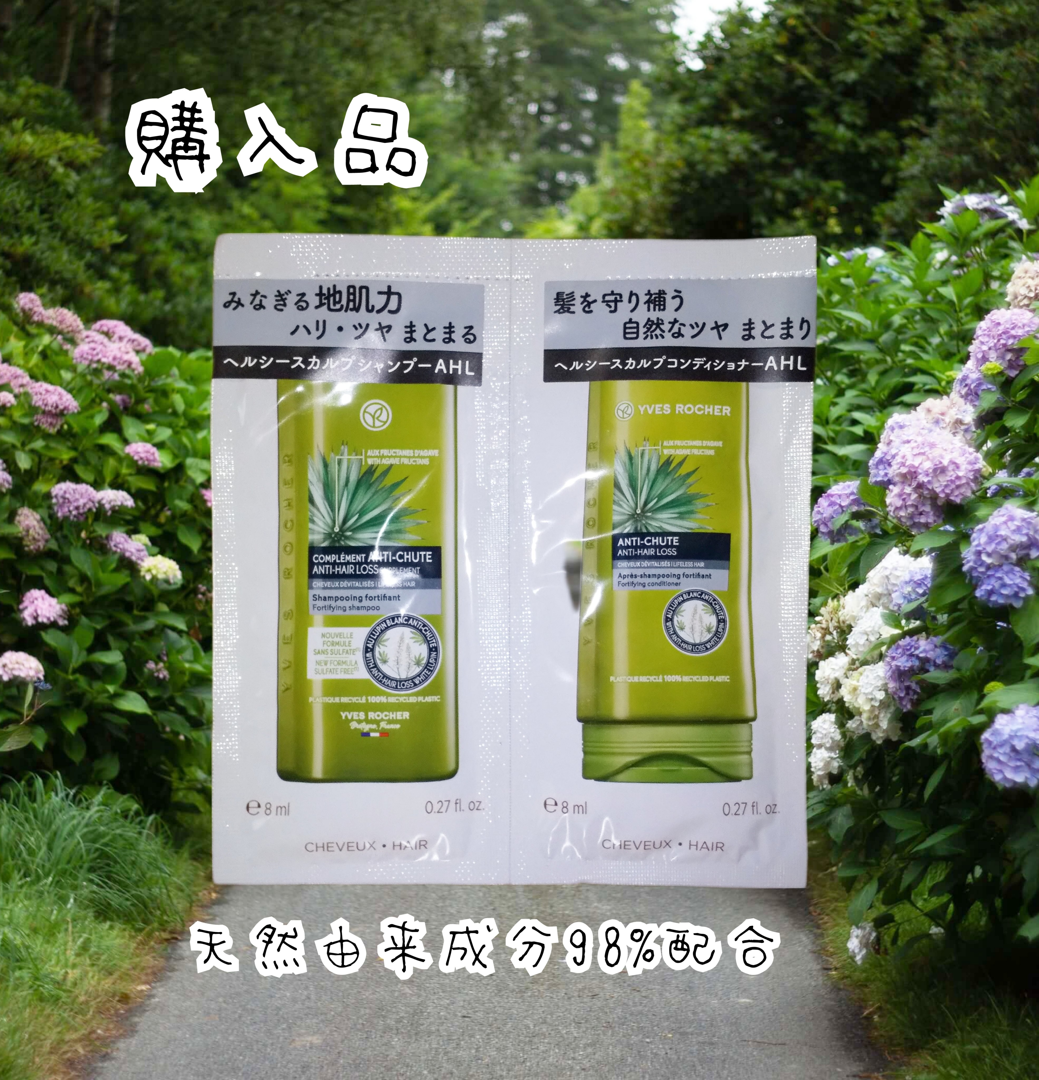 ヘルシースカルプシャンプー AHL/コンディショナー AHL/イヴ・ロシェ/市販シャンプーを使ったクチコミ（1枚目）