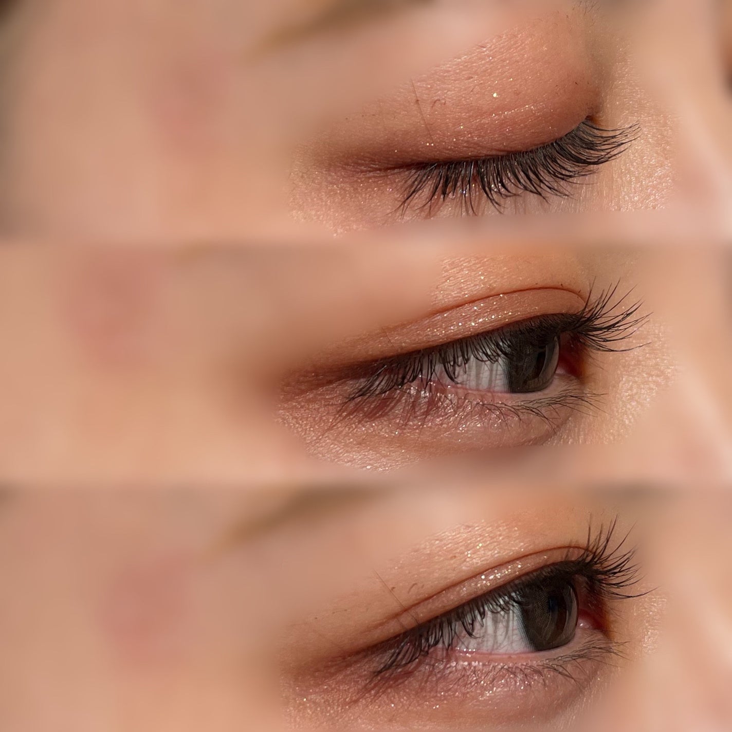 パーフェクトエクステンション マスカラ/D-UP/マスカラを使ったクチコミ(6枚目)