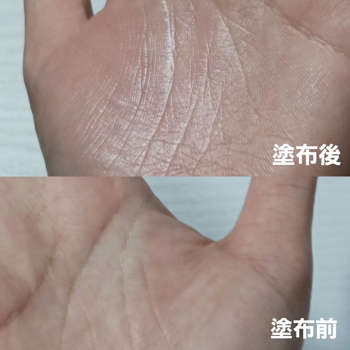 ããããã®æ¡èã¯ãªãŒã /ããã·ã/åç²§äžå°ã䜿ã£ãã¯ãã³ãïŒ8æç®ïŒ