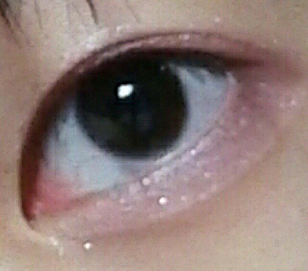 【旧品】パーフェクトスタイリストアイズ/キャンメイク/アイシャドウパレットを使ったクチコミ（3枚目）