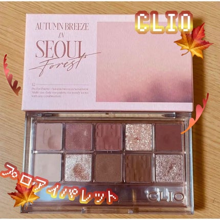 プロ アイ パレット/CLIO/アイシャドウパレットを使ったクチコミ(1枚目)