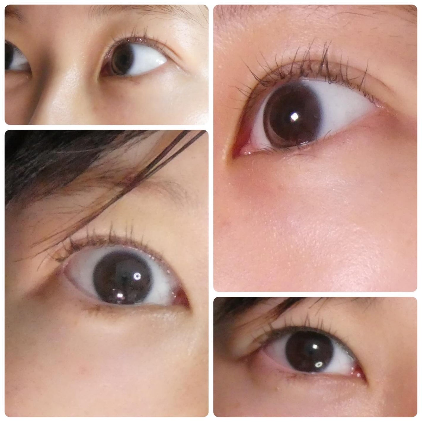 キングダム 束感カールマスカラ/キングダム/マスカラを使ったクチコミ(5枚目)