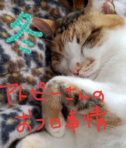 ビューティクリームバー ホワイト/ダヴ/ボディ石鹸を使ったクチコミ(1枚目)