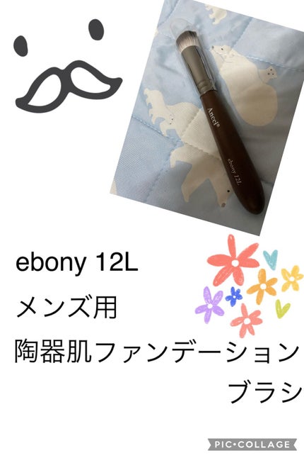 Ebony 12L/Ancci brush/メイクブラシを使ったクチコミ(2枚目)
