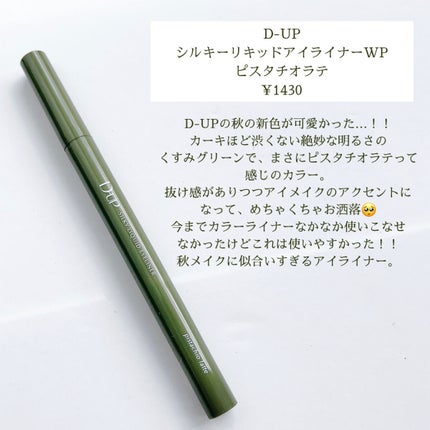 シルキーリキッドアイライナーWP/D-UP/リキッドアイライナーを使ったクチコミ(2枚目)