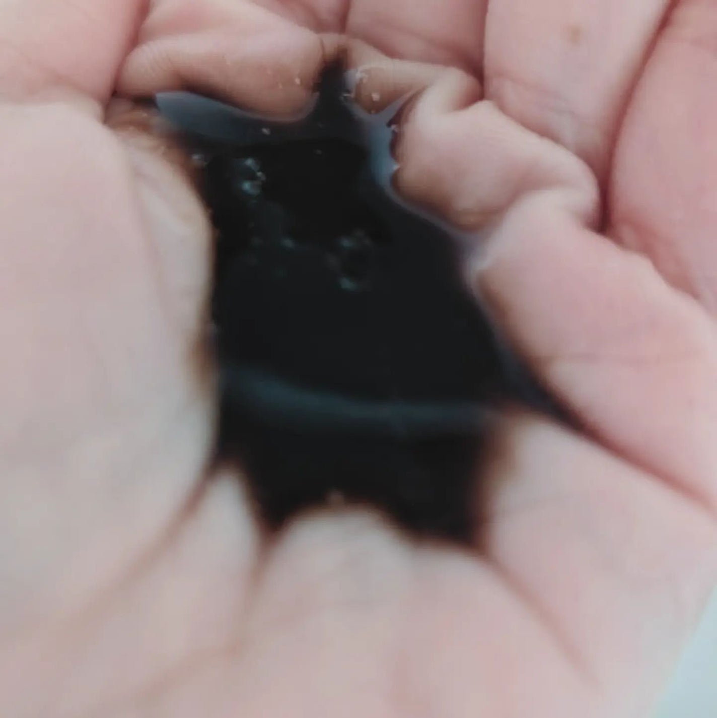 プロヘマチン原液 ヒト幹細胞培養エキス+/fracora/洗い流すヘアトリートメントを使ったクチコミ(4枚目)