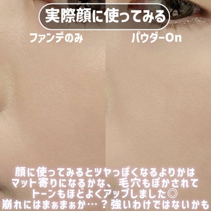 ステイフィクサーマルチカラーパウダー/wakemake/ルースパウダーを使ったクチコミ(10枚目)