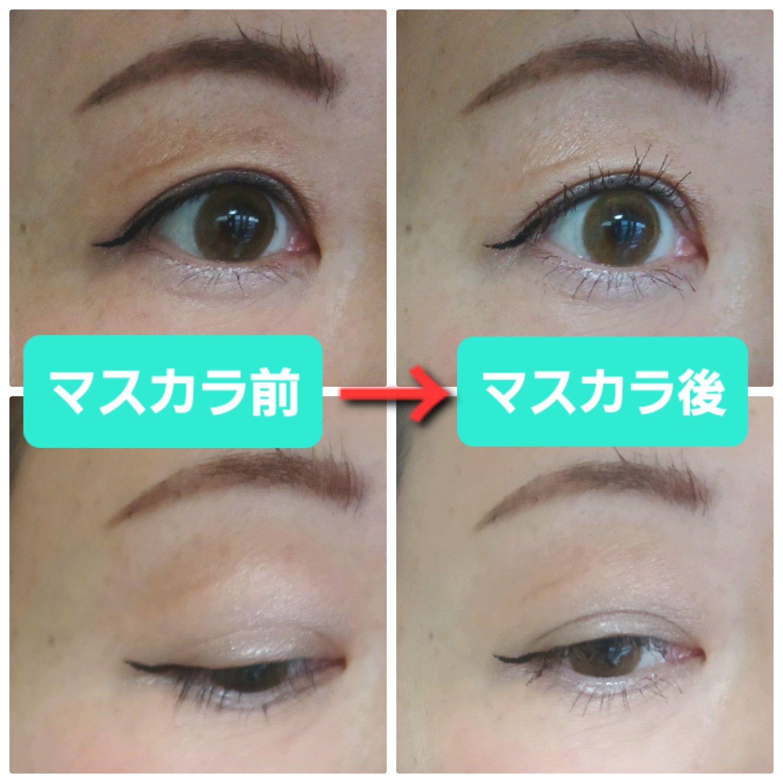 ミゼルエディ カールアップマスカラ ロング 02 ビターブラウン/ミゼルエディ/マスカラを使ったクチコミ（3枚目）