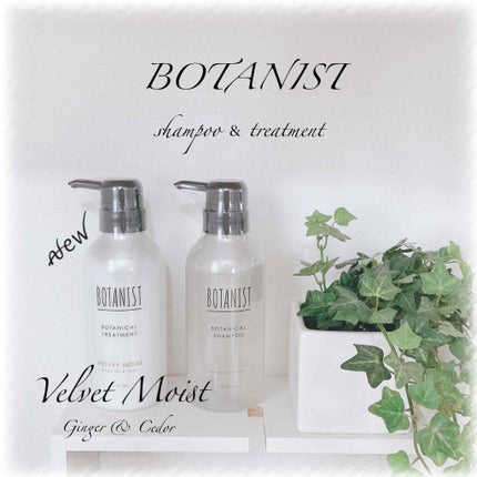 プレミアム ボタニカルシャンプー・トリートメント(ベロアモイスト)/BOTANIST/市販シャンプーを使ったクチコミ(1枚目)