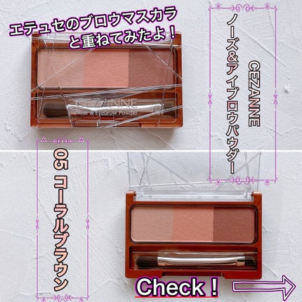 ノーズ&アイブロウパウダー/CEZANNE/パウダーアイブロウを使ったクチコミ(1枚目)