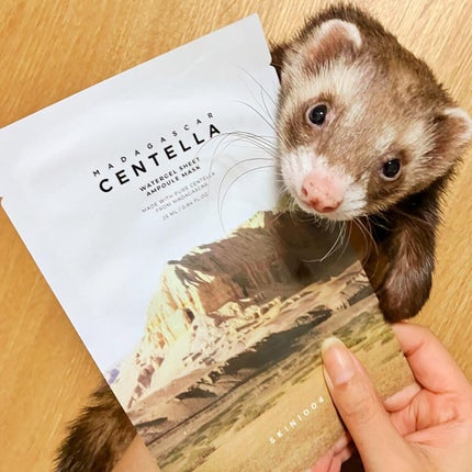 センテラ ウォーターゲルシートアンプルマスク/SKIN1004/シートマスク・パックを使ったクチコミ(2枚目)