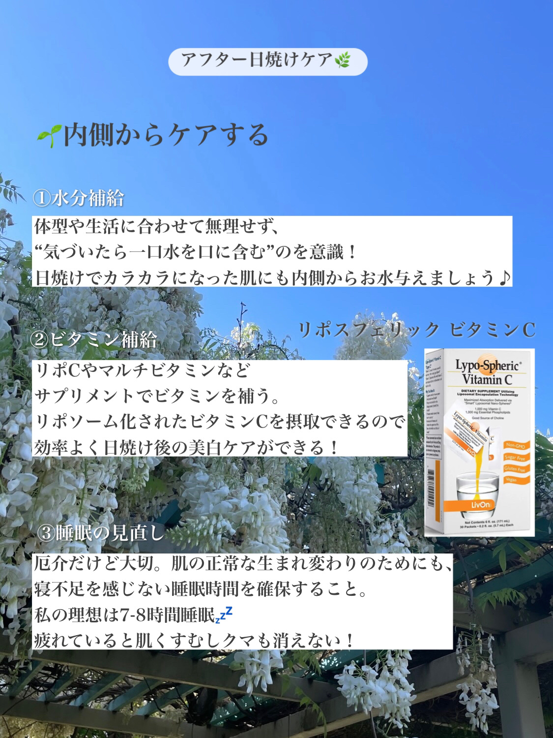  プリュスオー メロウリュクスマスク ジャータイプ/plus eau/ヘアマスク・ヘアパックを使ったクチコミ（2枚目）