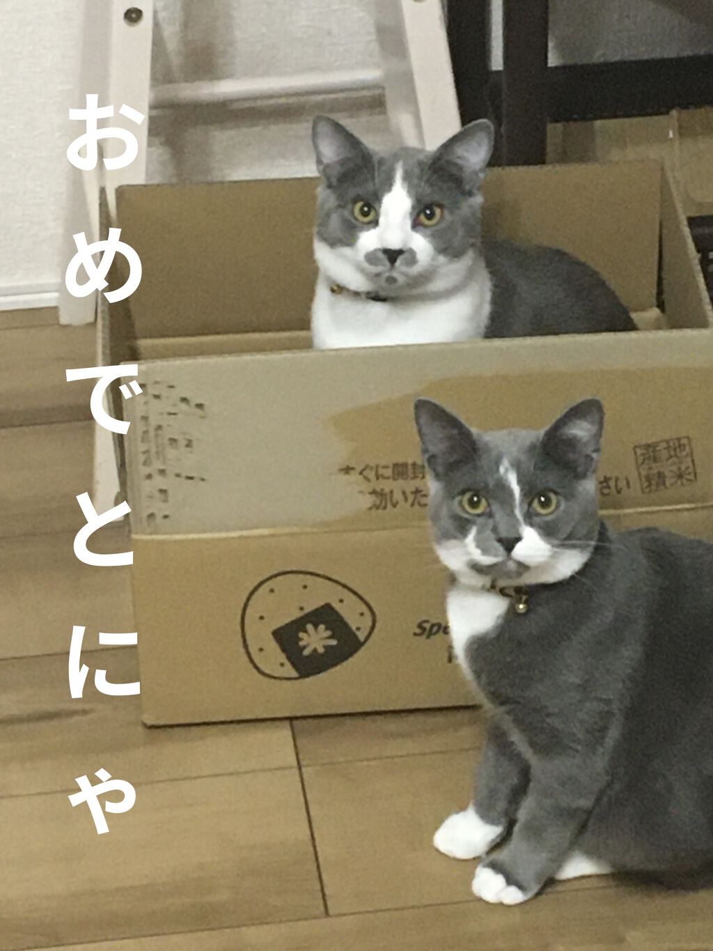 マルちゃん  マルちゃん やきそば弁当のクチコミ「ﾟ＊.｡.＊ﾟ＊.｡.＊ﾟ＊.｡.＊ﾟ＊.｡.＊ﾟ 


ε(*'-')з†.*･ﾟ☆︎Hap.....」（3枚目）