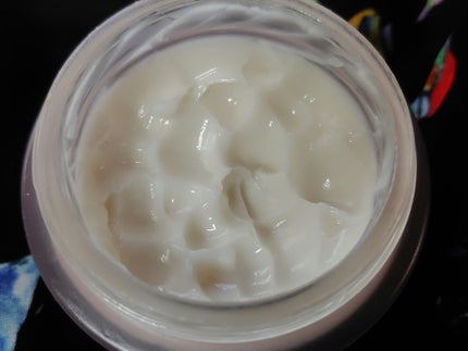 モイスチュアライジング エフフォーリア クリーム/IGNIS/フェイスクリームを使ったクチコミ(2枚目)