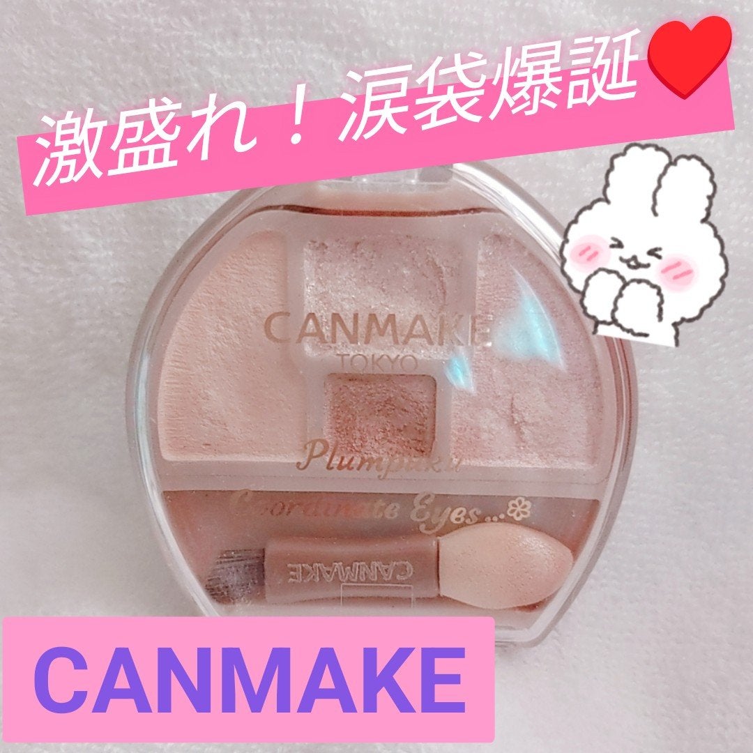 プランぷくコーデアイズ/キャンメイク/パウダーアイシャドウを使ったクチコミ(1枚目)