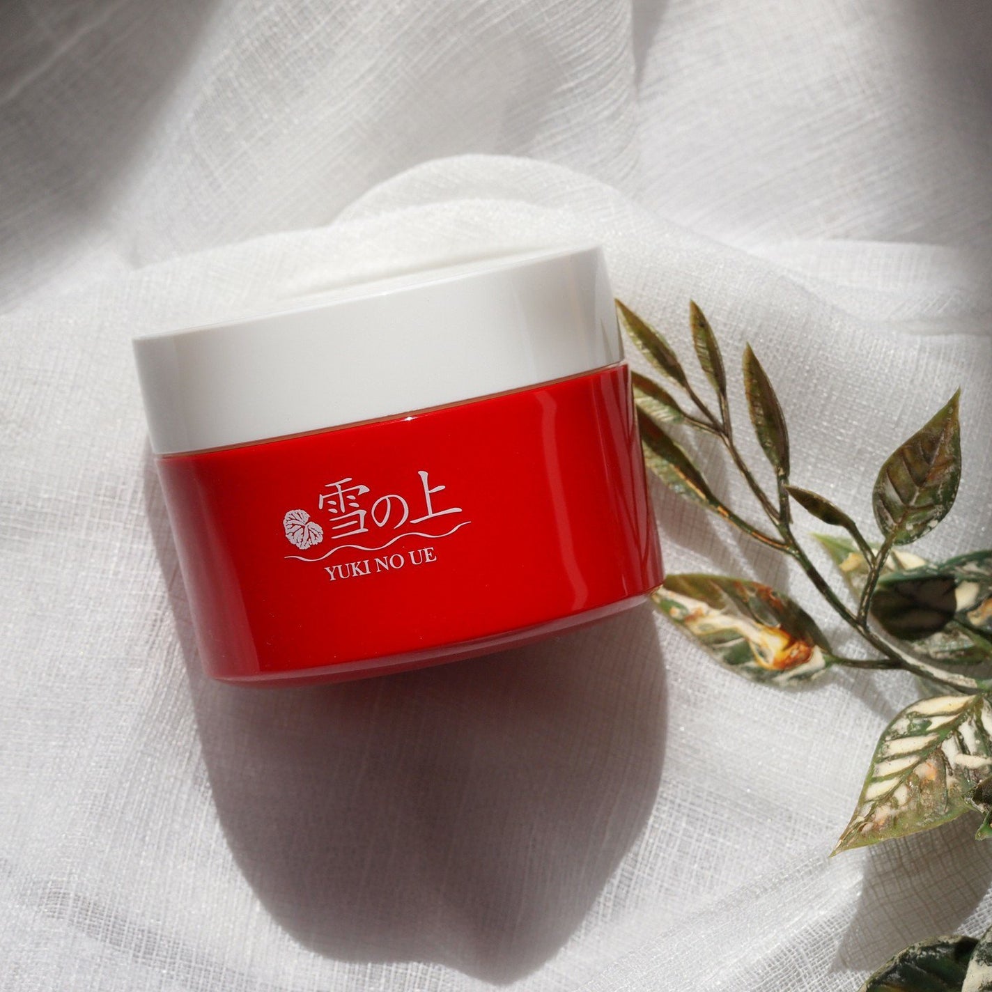 薬用美白ジェル 雪の上/雪の上/オールインワン化粧品を使ったクチコミ(1枚目)