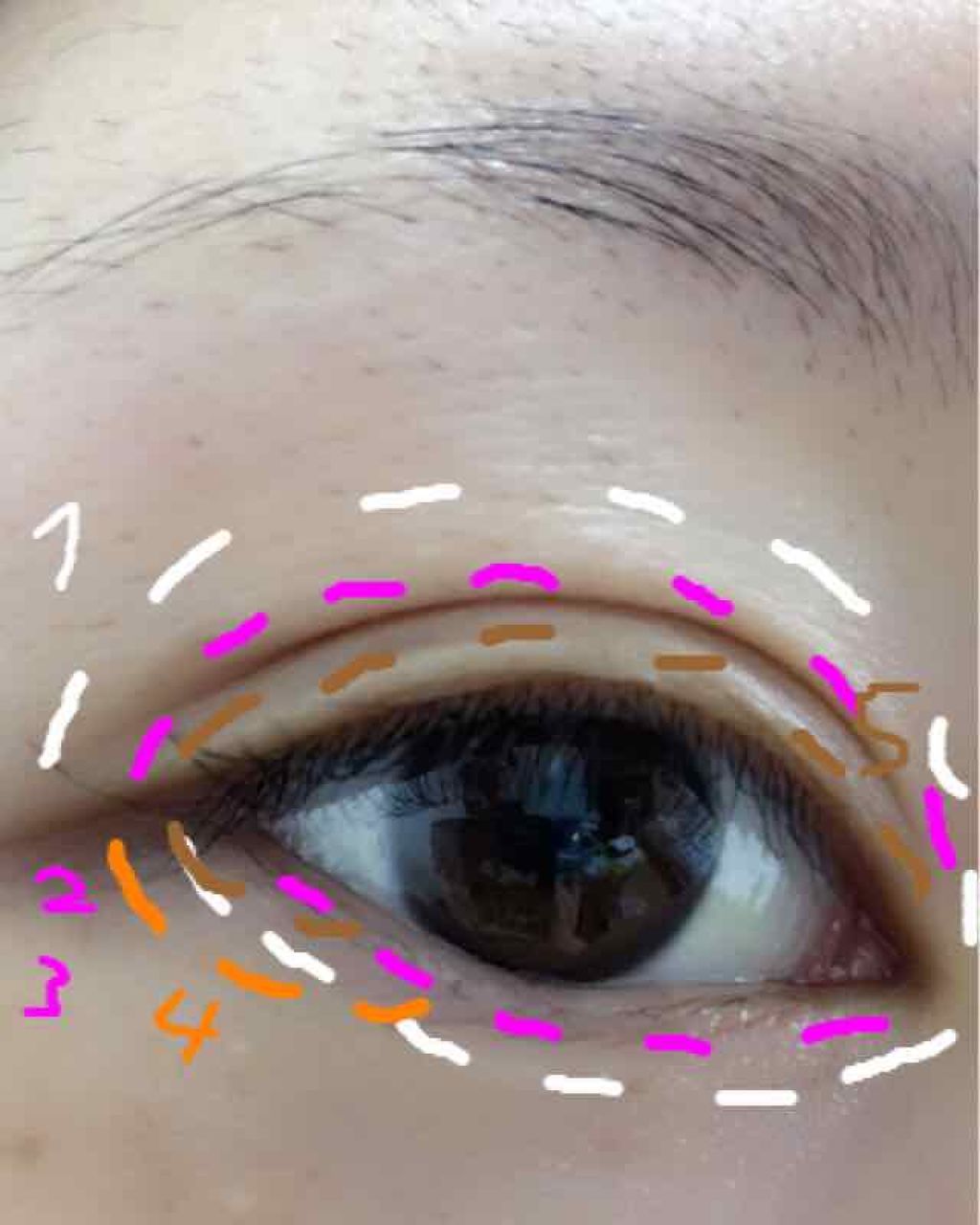 グラムヌード アイズ/Visée/アイシャドウパレットを使ったクチコミ(2枚目)