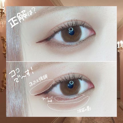 3wayスリムアイルージュライナー/キャンメイク/リキッドアイライナーを使ったクチコミ(4枚目)