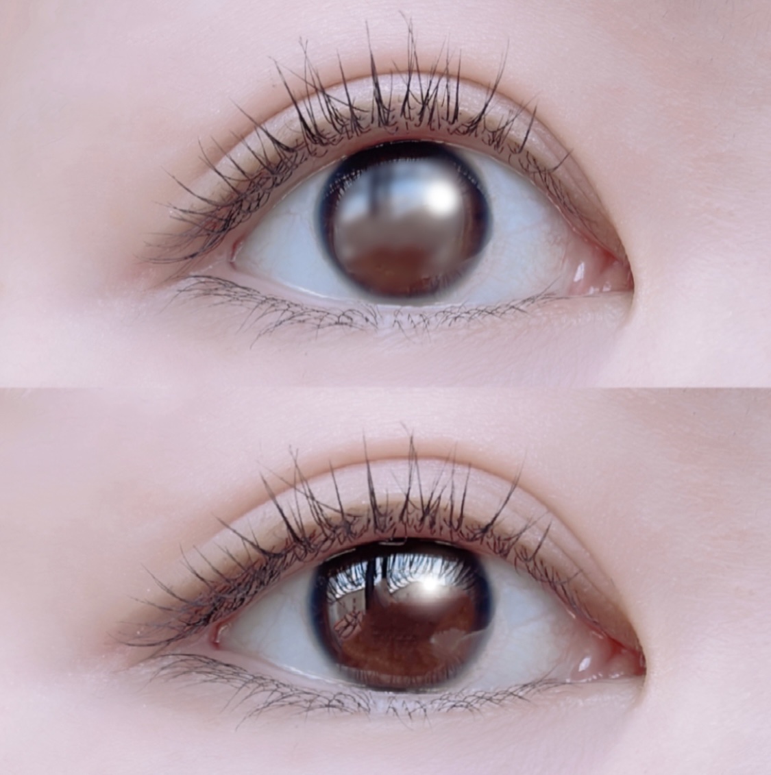 ラスティング カールマスカラ /KiSS/マスカラを使ったクチコミ（3枚目）