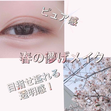 パーフェクトマルチアイズ/キャンメイク/アイシャドウパレットを使ったクチコミ(1枚目)