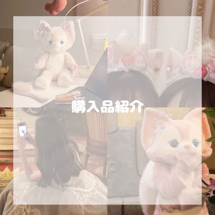 ラスティンググロスリップ/CEZANNE/口紅を使ったクチコミ(1枚目)