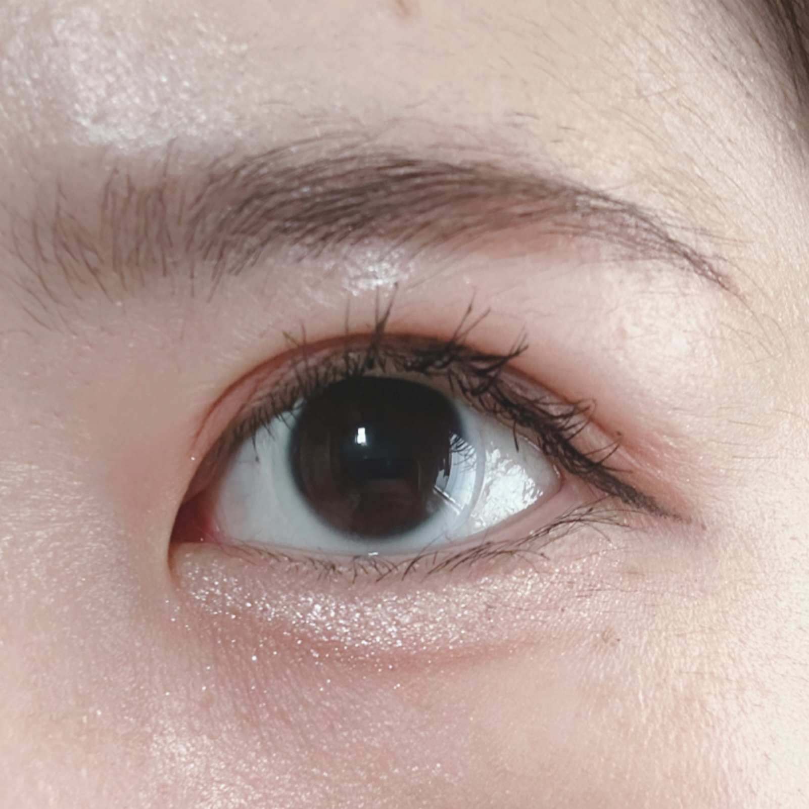 カールフィックスマスカラ/ETUDE/マスカラを使ったクチコミ（3枚目）