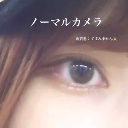 LA FILLE (ラ・フィーユ)/LA FILLE/カラーコンタクトレンズを使ったクチコミ(2枚目)