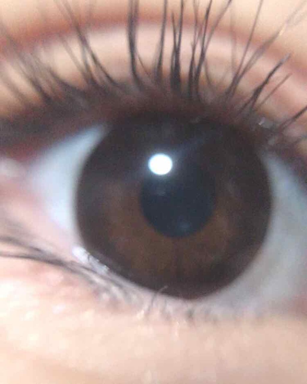 Valentine/THEPIEL/カラーコンタクトレンズを使ったクチコミ（1枚目）