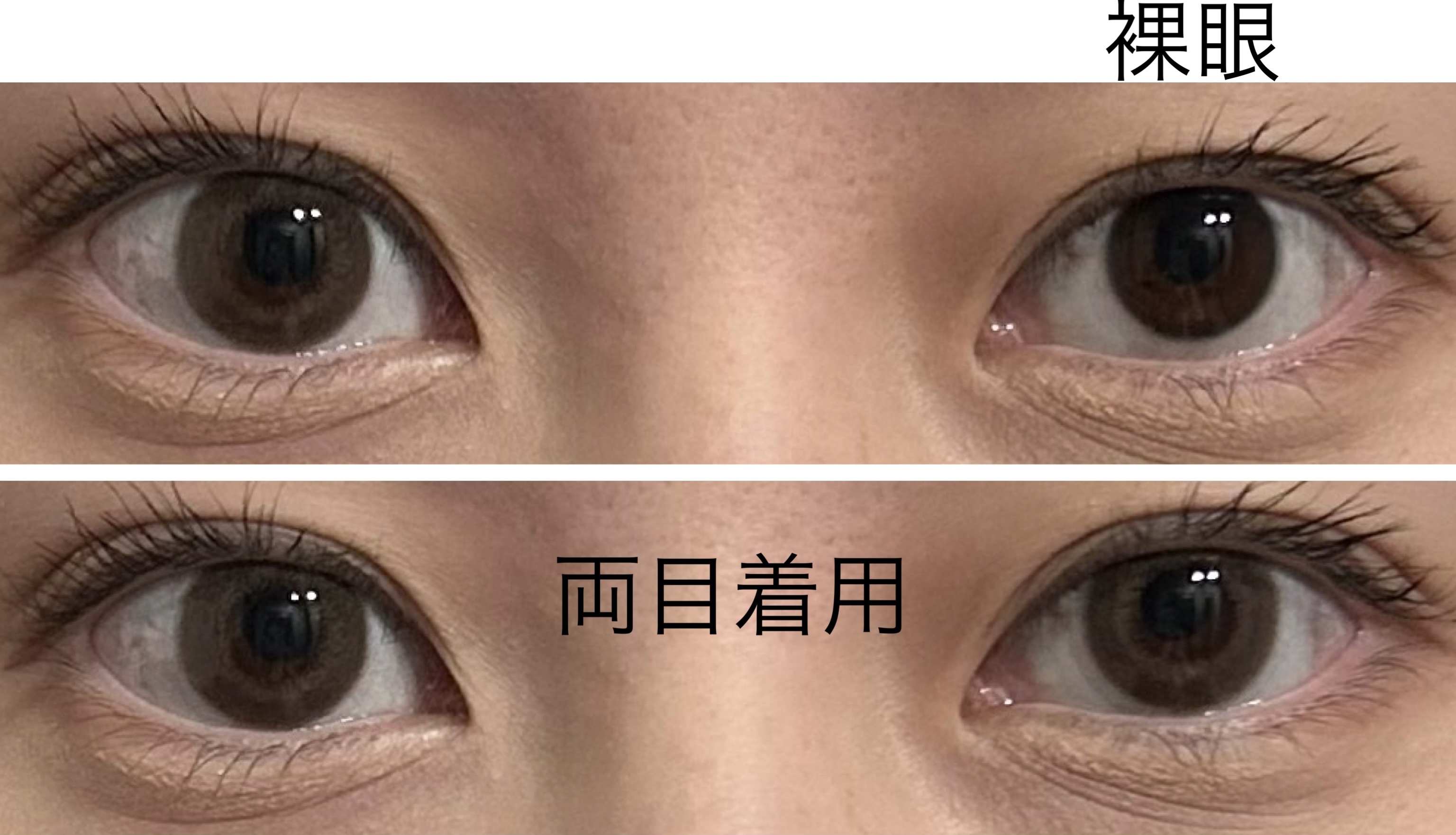 FLANMY 1day サクラロール/FLANMY/ワンデー（１DAY）カラコンを使ったクチコミ（3枚目）