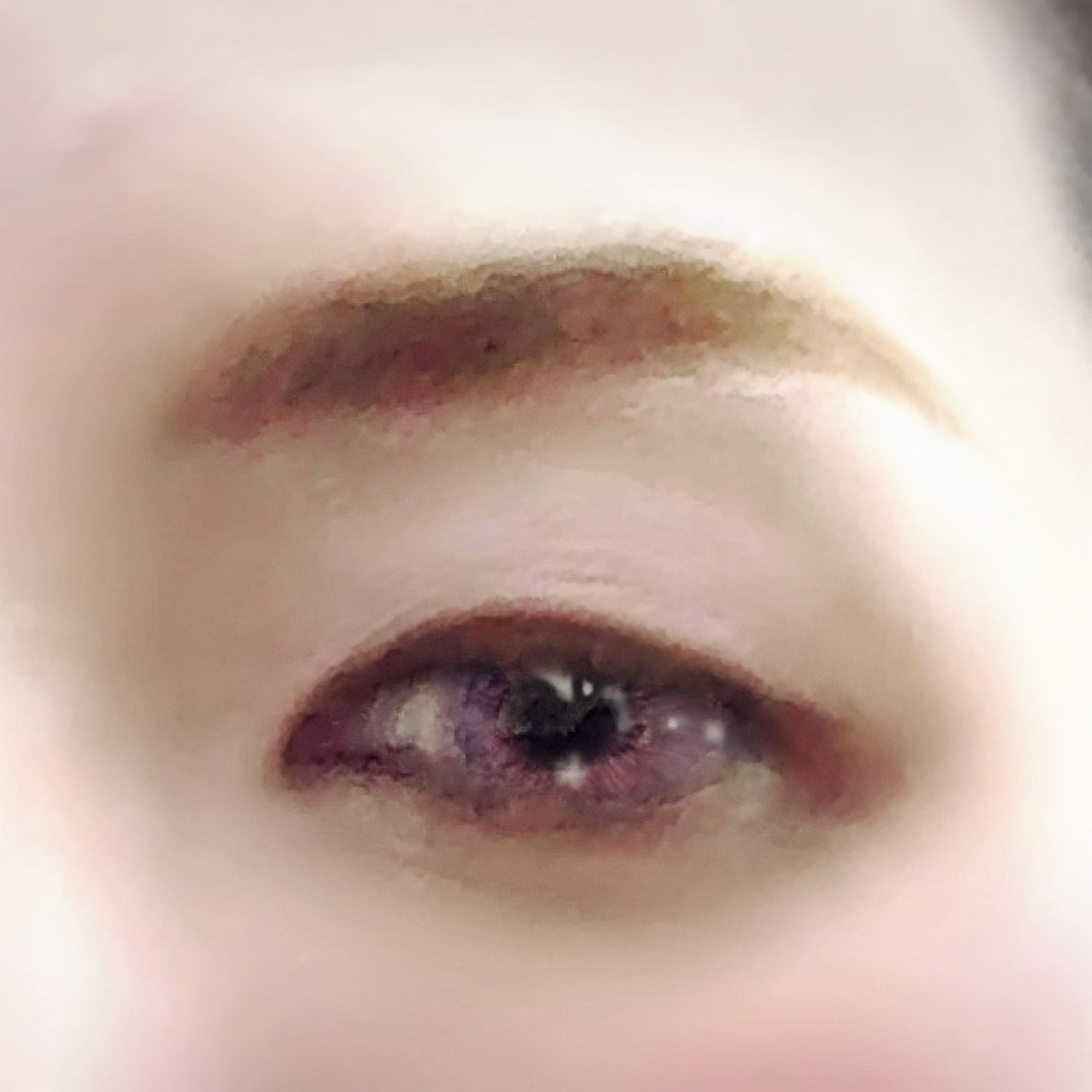 ノーズ&アイブロウパウダー/CEZANNE/パウダーアイブロウを使ったクチコミ(2枚目)