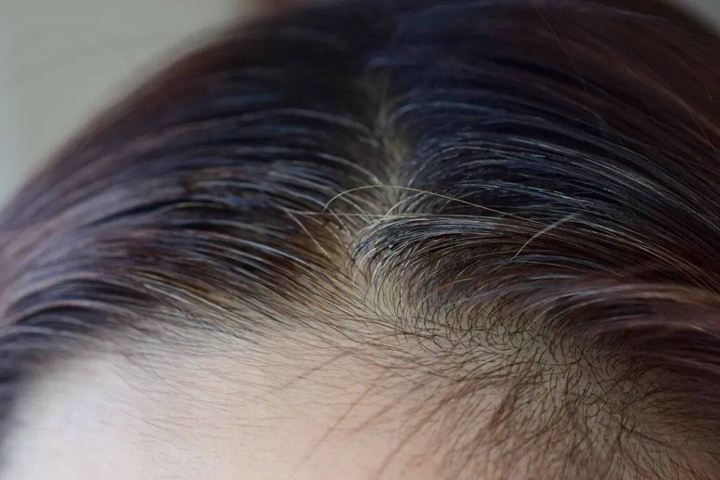 白髪隠しカラーリングブラシ/綺和美/ヘアカラーを使ったクチコミ(5枚目)