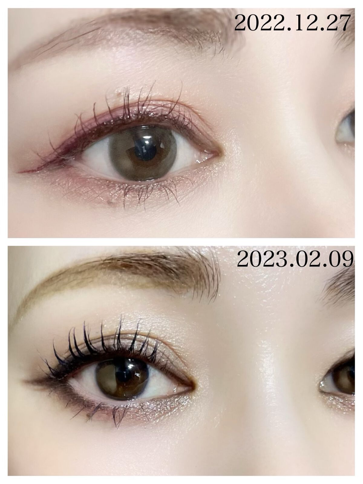 ラッシュジェリードロップ　ＥＸ/マジョリカ マジョルカ/まつげ美容液を使ったクチコミ（2枚目）