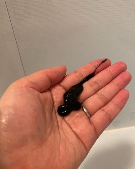 ハーバニエンス ヘアカラートリートメント/HERBANIENCE/ヘアカラーを使ったクチコミ(3枚目)