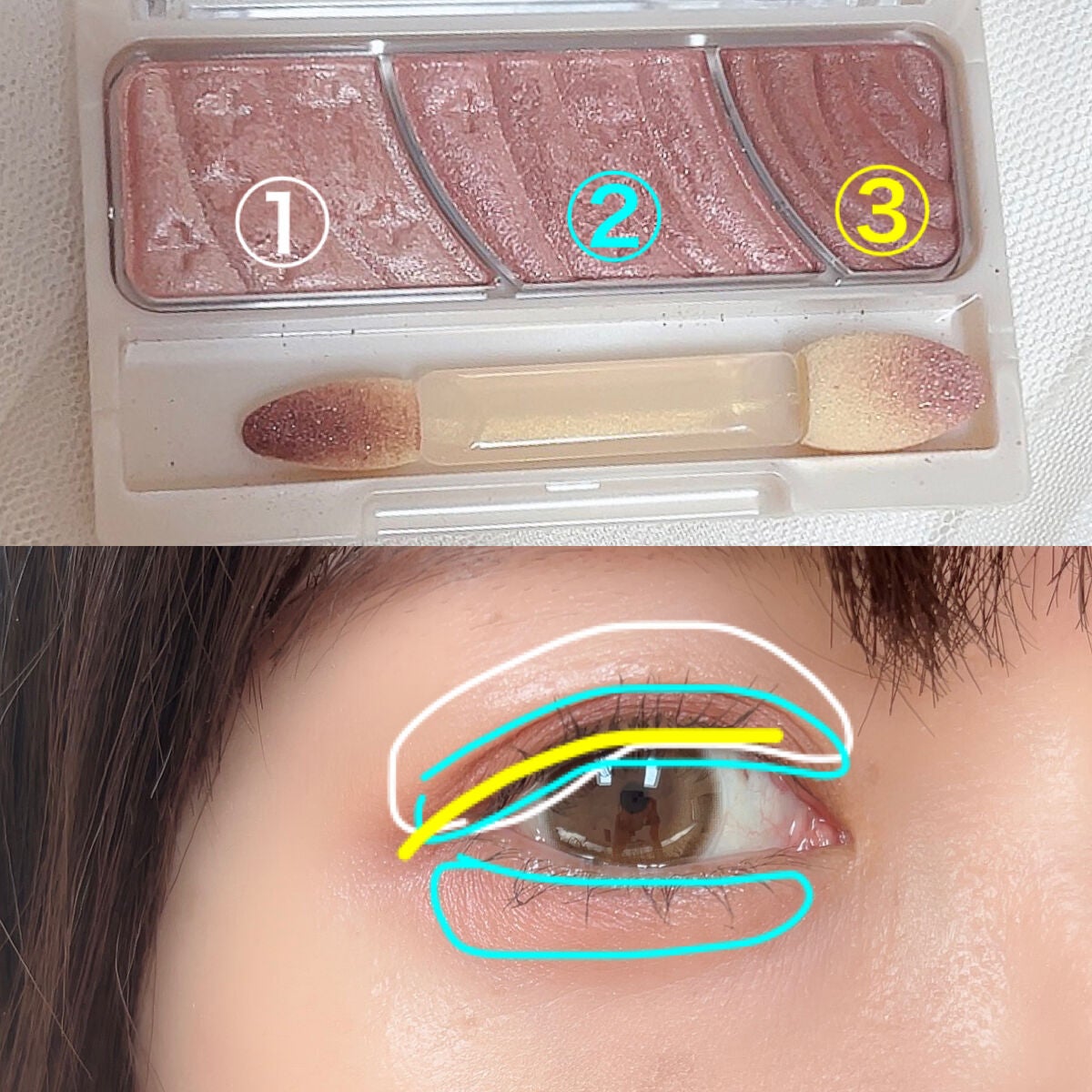 トーンアップアイシャドウ/CEZANNE/アイシャドウパレットを使ったクチコミ(2枚目)