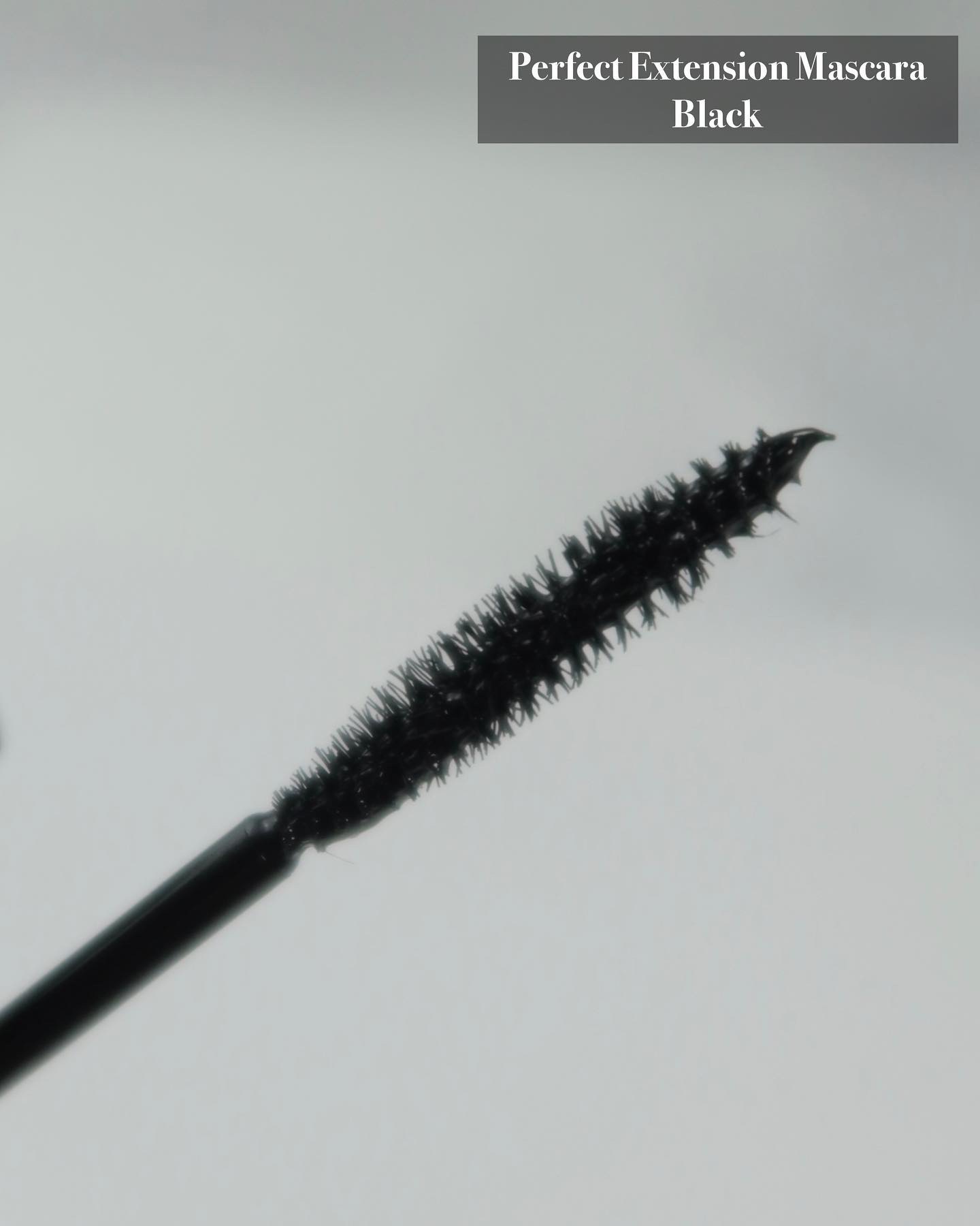 パーフェクトエクステンション マスカラ for カール/D-UP/マスカラを使ったクチコミ（2枚目）