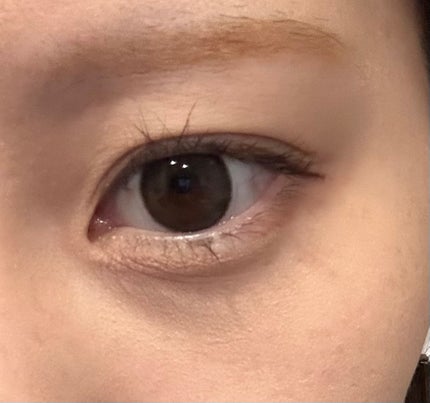 ベティーシリーズ ベティープラスブラウン/LENSSIS/カラーコンタクトレンズの画像