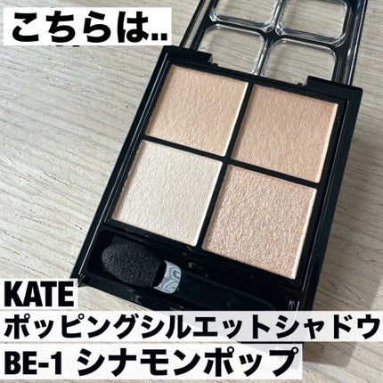 ケイト ポッピングシルエットシャドウ/KATE/アイシャドウパレットを使ったクチコミ(2枚目)