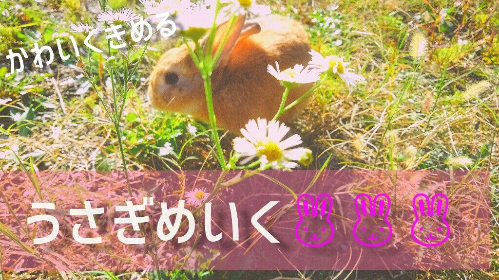 プレイ101 ペンシル/ETUDE/ペンシルアイライナーを使ったクチコミ（1枚目）