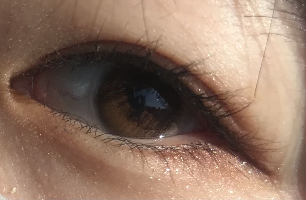 JILL STUART 1day UV/JILL STUART/ワンデー（１DAY）カラコンを使ったクチコミ（2枚目）