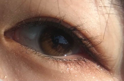 JILL STUART 1day UV/JILL STUART/ワンデー(1DAY)カラコンを使ったクチコミ(2枚目)