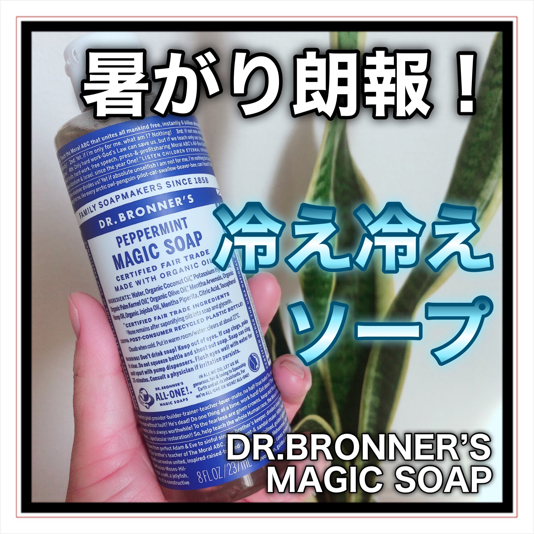 マジックソープ ペパーミント 237ml/ドクターブロナー/ボディソープを使ったクチコミ（1枚目）