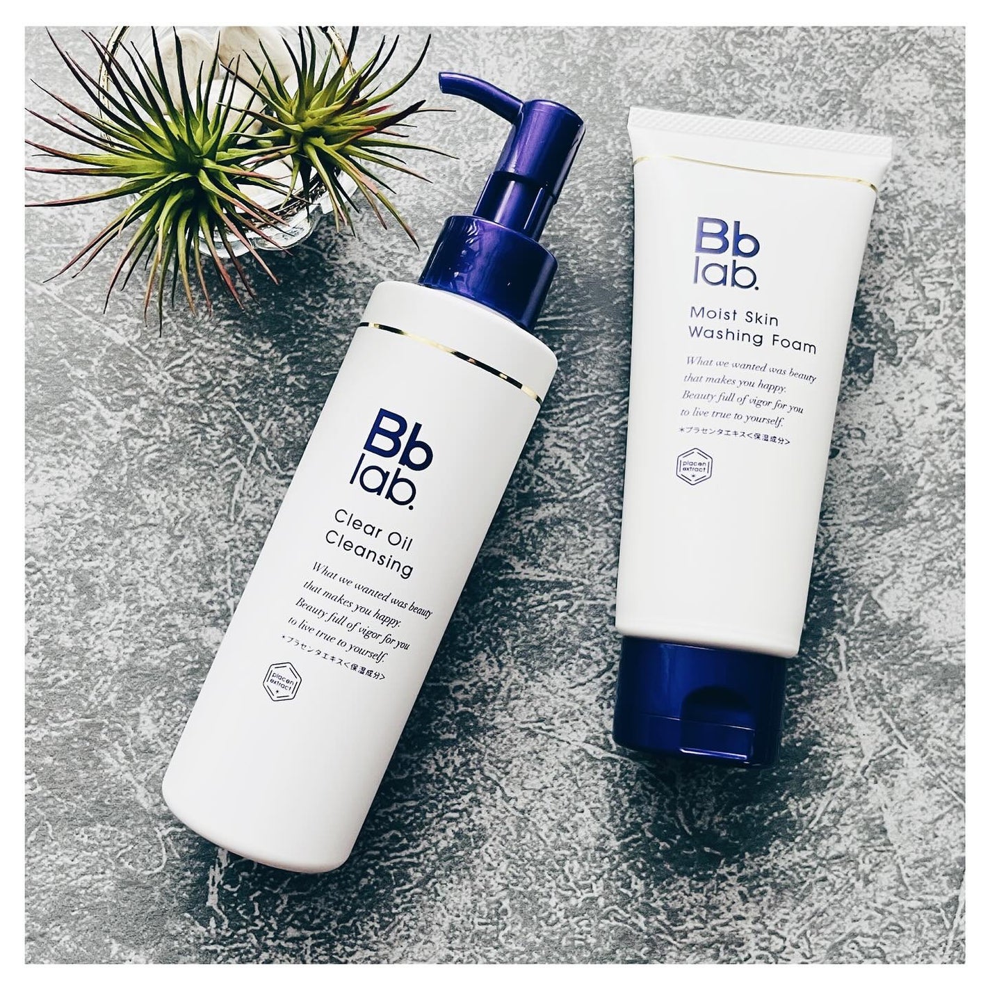 モイストスキン ウォッシングフォーム/Bb lab./洗顔フォームを使ったクチコミ(5枚目)