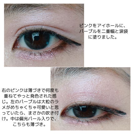 スイ ブラック アイカラー/ANNA SUI/アイシャドウパレットを使ったクチコミ(3枚目)