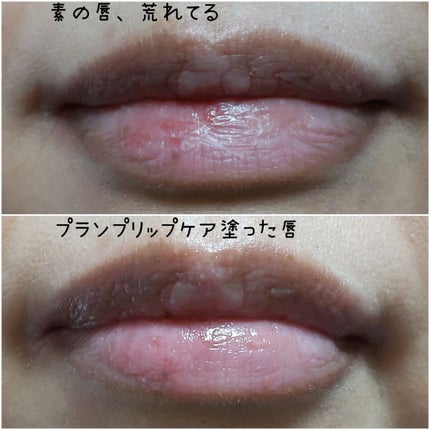 プランプリップケアスクラブ+/キャンメイク/リップスクラブを使ったクチコミ(4枚目)