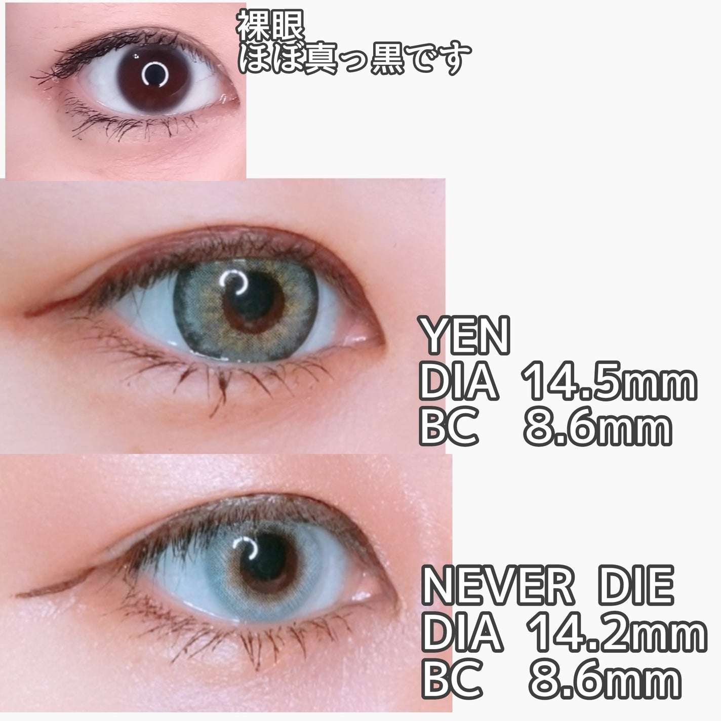 GAL NEVER DIE 1Day/GAL NEVER DIE/ワンデー(1DAY)カラコンを使ったクチコミ(2枚目)