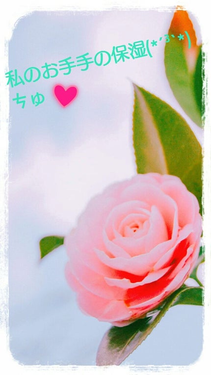 メンソレータムハンドベール プレミアムリッチバリア/メンソレータム/ハンドクリームを使ったクチコミ(1枚目)