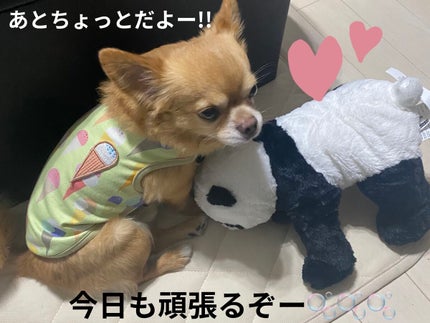 クリア リップコート/Amplitude/リップオイルを使ったクチコミ(6枚目)