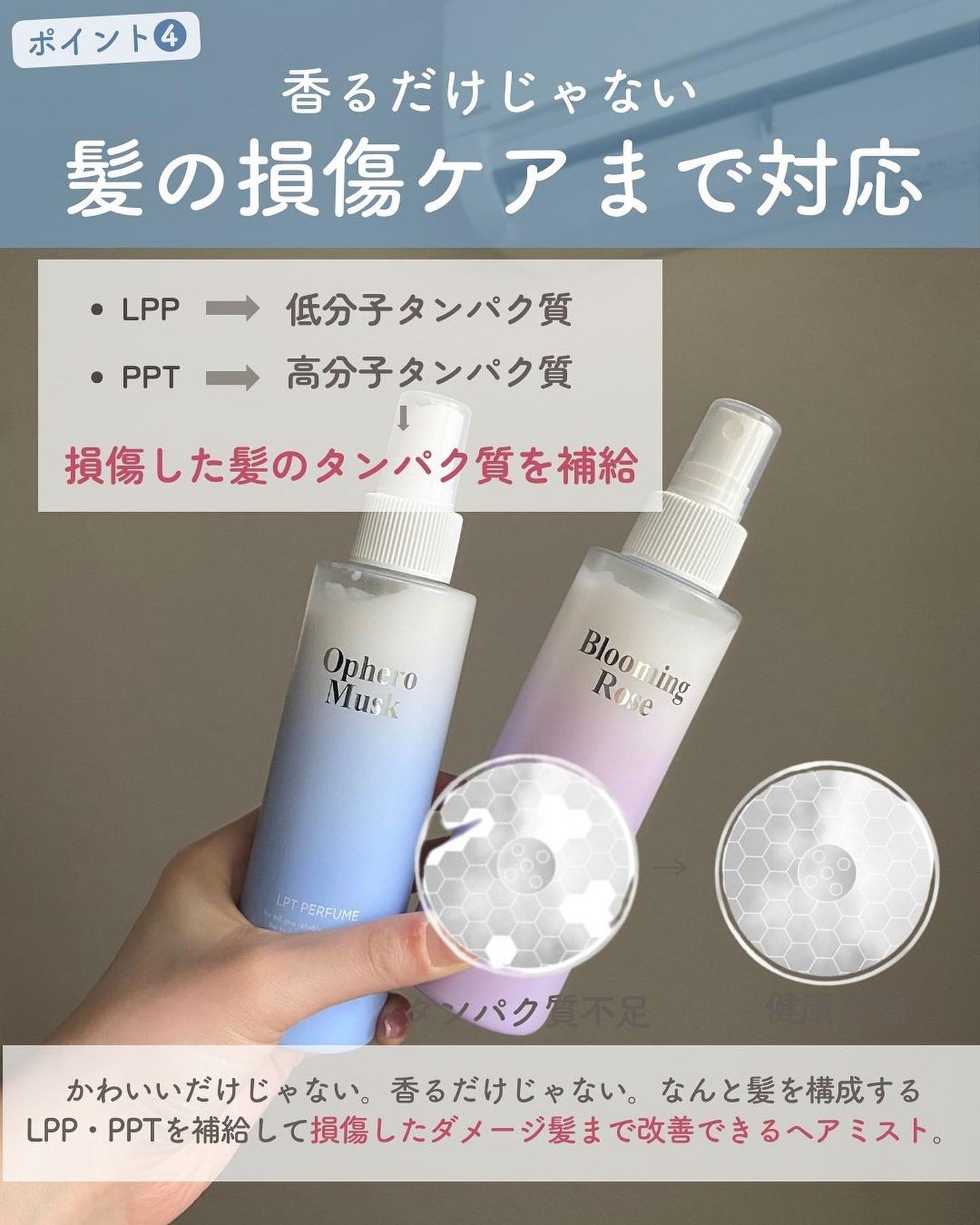 らな ♡ 韓国スキンケア / 韓国コスメ on LIPS 「他の投稿はこちら→@lana__cosme今回はDaleafの..」(6枚目)