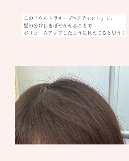 ウルトラキープヘアティント ダークブラウン/メイクプロポーション/ヘアカラーの画像